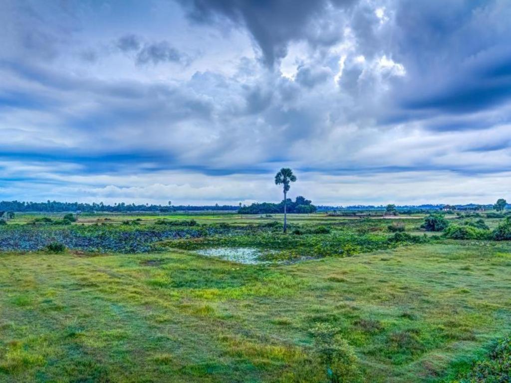 Ry'S Lotus Resort D'Angkor Siem Reap Zewnętrze zdjęcie