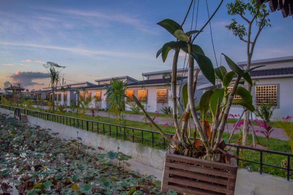 Ry'S Lotus Resort D'Angkor Siem Reap Zewnętrze zdjęcie