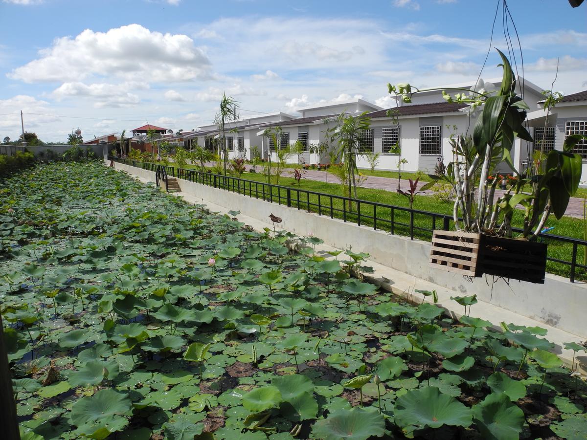 Ry'S Lotus Resort D'Angkor Siem Reap Zewnętrze zdjęcie